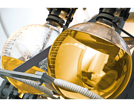 The customer is hero of our Business